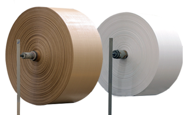 Pp woven fabrics